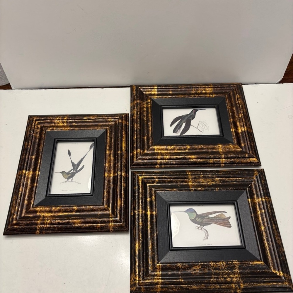 Three framed bird prints framed